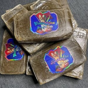 BiscottiBoys SSh Hash